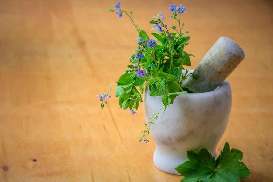 5 Natural Ingredients Found in Healing Hair Spa Products and Their Benefits