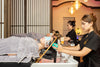 2-Day Head Spa Training – Zelene